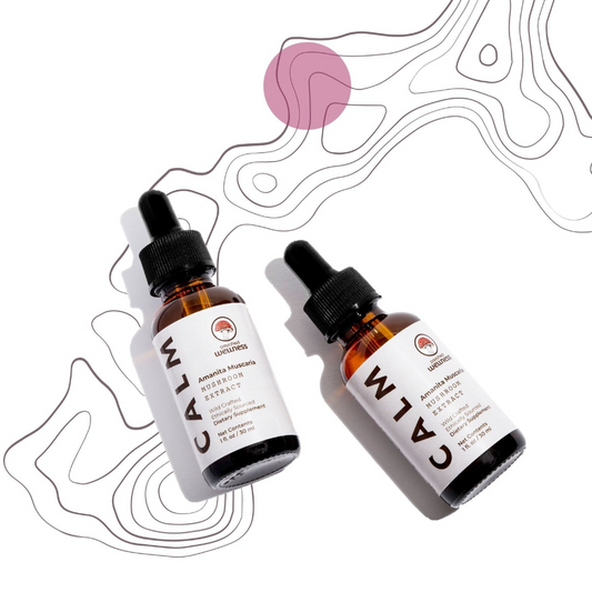 睡眠とキノコの関係性