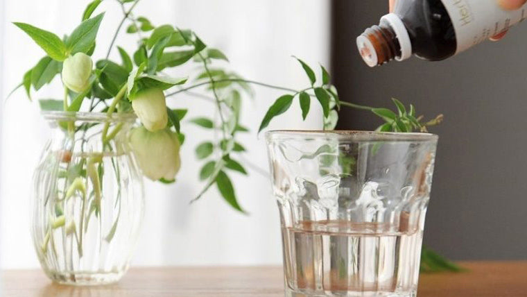 <日程変更>自然療法セルフケアシリーズVOL.1 「ねむり力アップにおすすめジェモセラピー」